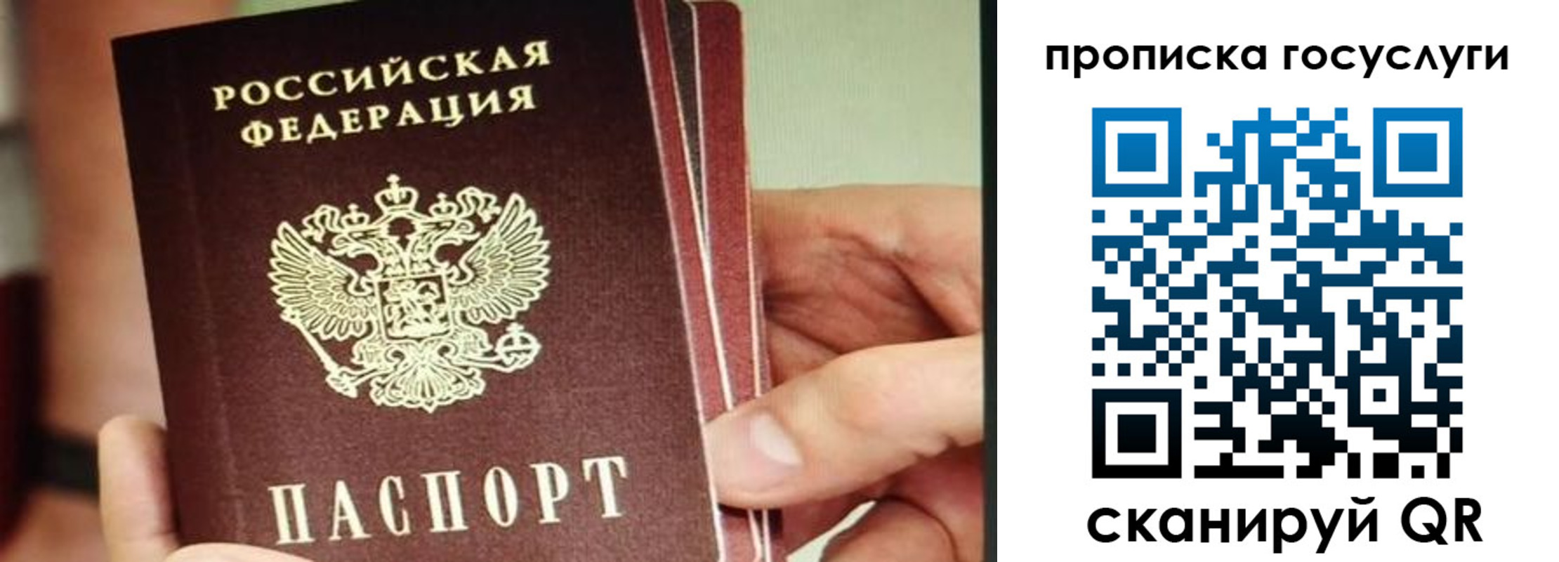 пропишу в квартире в Домодедово